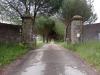 Rustico in vendita a Scansano in scansano - 04, Foto 4