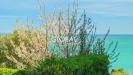 Appartamento in vendita con giardino a Ancona in via della pergola - 02, Foto 2