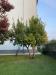Appartamento in vendita a Novara - 05, Foto 5