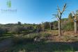 Villa in vendita con giardino a Bracciano - 05, Foto 5