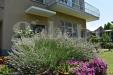 Villa in vendita a Lecco - 02, Giard2.JPG