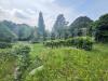 Villa in vendita con giardino a Ello - 03, WhatsApp Image 2026-06-10 at 10.24.42 (2).jpeg