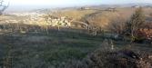 Terreno Agricolo in vendita a Alba - 10, 10