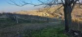 Terreno Agricolo in vendita a Alba - 07, 07