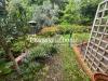 Appartamento in vendita con giardino a Siena - le scotte - 06