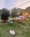 Appartamento in vendita con giardino a Sovicille - 02