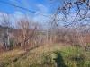 Terreno Agricolo in vendita con giardino a Misano Adriatico - 10