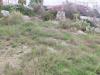 Terreno Edificabile in vendita a Gagliano del Capo in via enrico fermi - il ciolo - 10