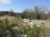 Terreno Agricolo in vendita a Castrignano de' Greci - 04