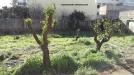 Casa indipendente in vendita con giardino a Corigliano d'Otranto in via vittorio veneto 40 - 06