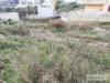 Terreno Edificabile in vendita a Gagliano del Capo in via enrico fermi - il ciolo - 08