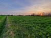 Terreno Agricolo in vendita a San Biagio di Callalta in via del solstizio - 04, Foto 4