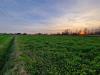 Terreno Agricolo in vendita a San Biagio di Callalta in via del solstizio - 05, Foto 5
