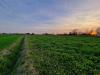 Terreno Agricolo in vendita a San Biagio di Callalta in via del solstizio - 06, Foto 6