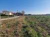 Terreno Agricolo in vendita a Casale sul Sile in forlani - 05, Foto 5