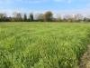 Terreno Agricolo in vendita a Silea in via sant elena 89 - 03, Foto 3
