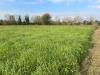 Terreno Agricolo in vendita a Silea in via sant elena 89 - 04, Foto 4
