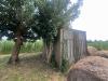 Terreno Agricolo in vendita a Villorba in via perine - 03, Foto 3