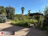 Casa indipendente in vendita con giardino a Caluso in vicolo gorizia 16 - 04, Foto 4