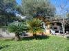 Casa indipendente in vendita con giardino a Boissano in via colle - 06, 7207f477-fb1c-434a-9840-a856b57a512e.jpg