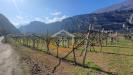 Terreno Agricolo in vendita a Arco in localit giara - 02, Foto 2