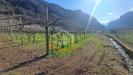 Terreno Agricolo in vendita a Arco in localit giara - 03, Foto 3