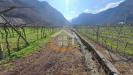 Terreno Agricolo in vendita a Arco in localit giara - 04, Foto 4