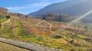 Terreno Agricolo in vendita a Nago-Torbole in loc. pandino - 05, Foto 5