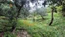 Terreno Agricolo in vendita a Nago-Torbole in via strada granda - 10, Foto 10