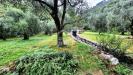 Terreno Agricolo in vendita a Nago-Torbole in via strada granda - 02, Foto 2