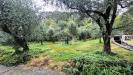 Terreno Agricolo in vendita a Nago-Torbole in via strada granda - 03, Foto 3