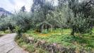 Terreno Agricolo in vendita a Nago-Torbole in via strada granda - 06, Foto 6