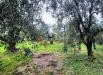 Terreno Agricolo in vendita a Nago-Torbole in via strada granda - 09, Foto 9