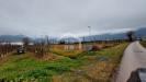 Terreno Agricolo in vendita a Riva del Garda in localit fangolino - 04, Foto 4