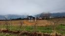 Terreno Agricolo in vendita a Riva del Garda in localit fangolino - 05, Foto 5