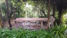 Appartamento in vendita con giardino a Paliano in via colle martino 55 - 05, Foto 5