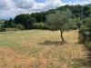 Appartamento bilocale in vendita con giardino a Genazzano in via spinaceto - 03, Foto 3