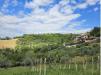 Terreno Agricolo in vendita a Chieti in san salvatore - 03