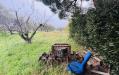 Terreno in vendita a Castiglione della Pescaia in localit ponti di badia - 04