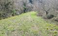 Terreno Agricolo in vendita a Monterotondo Marittimo in via dei griccioni - 05