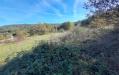 Terreno Agricolo in vendita a Vinchiaturo in contrada vonzi - 07