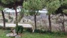 Appartamento in vendita con terrazzo a Montopoli in Val d'Arno - marti - 02