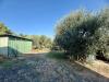 Casa indipendente in vendita con giardino a Terricciola - morrona - 05
