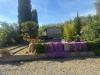 Villa in vendita con giardino a Palaia - 05
