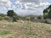 Terreno Agricolo in vendita a Palermo in via ignazio gioe' - 03, Foto 3