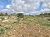 Terreno Agricolo in vendita a Palermo in via ignazio gioe' - 04, Foto 4