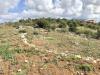 Terreno Agricolo in vendita a Palermo in via ignazio gioe' - 06, Foto 6
