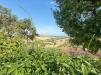 Appartamento in vendita con giardino a Fermo in via dell'agricoltura 21 - 04, Foto 4