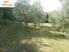 Terreno Agricolo in vendita a Sale Marasino in sulzano 89 - 04, Foto 4