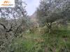Terreno Agricolo in vendita a Marone in via provinciale 15 - 02, Foto 2